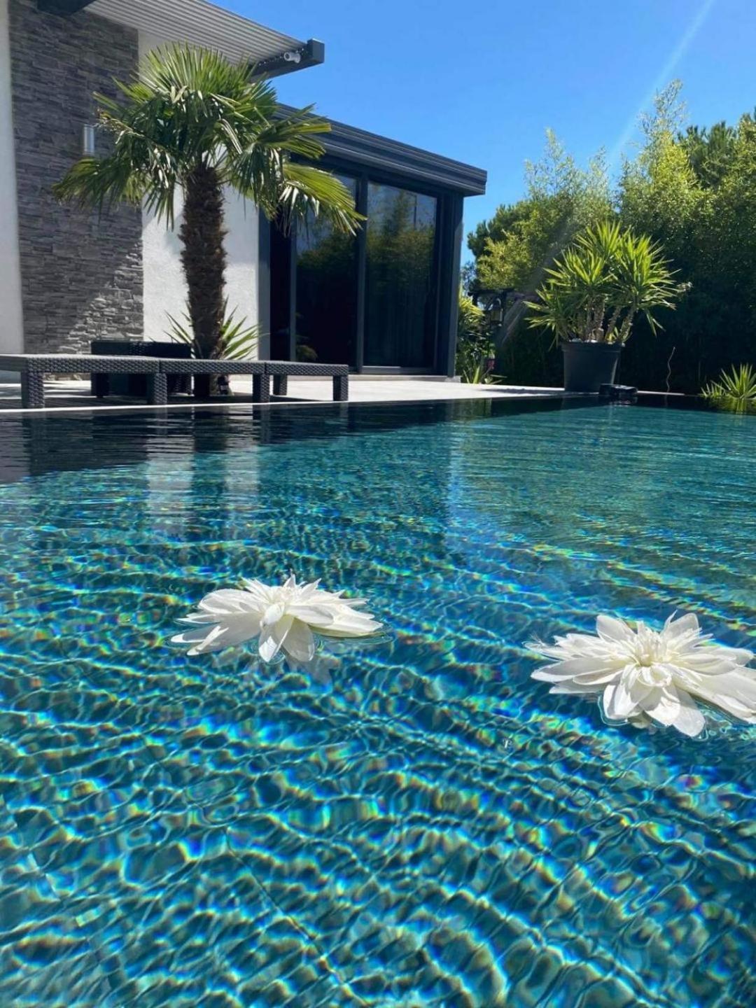 مبيت وإفطار موسان ليه ألبيل Mon Petit Bali المظهر الخارجي الصورة